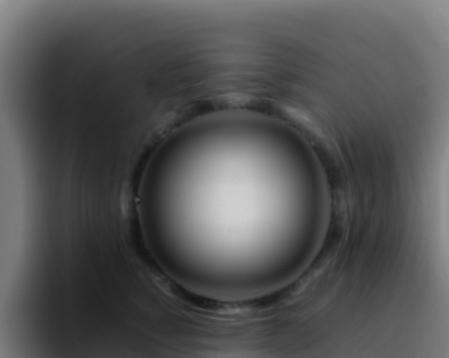 X0000094930760200712061129