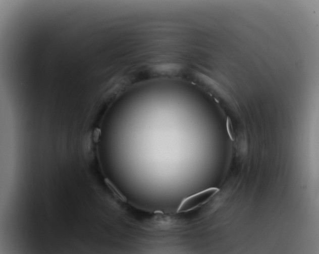 X0000094930764200712061129