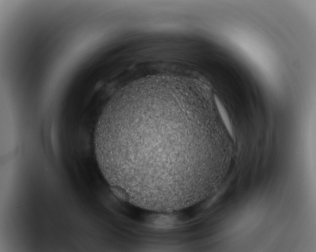 X0000094930765200712061129
