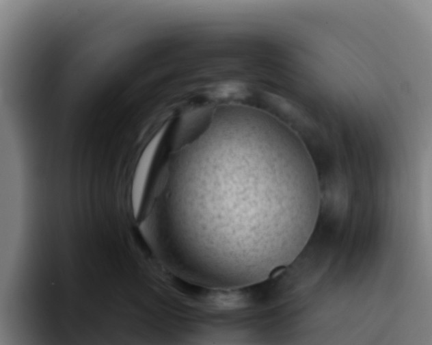 X0000094930767200712061129