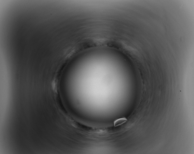 X0000094930768200712061129