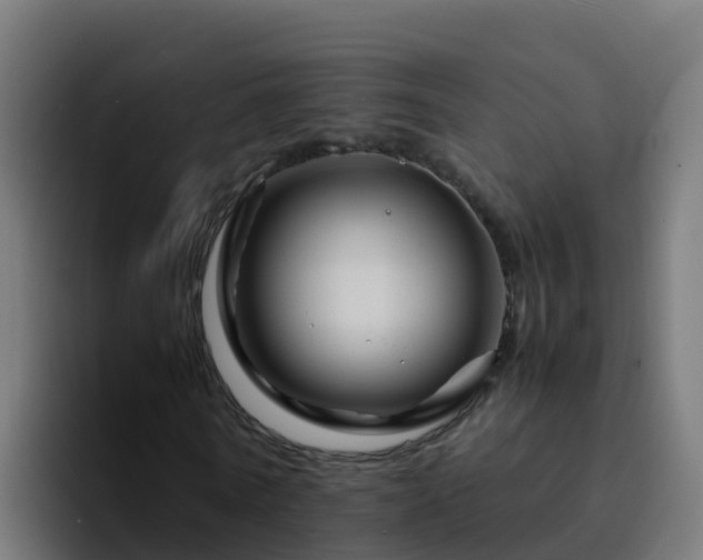 X0000094930770200712061128