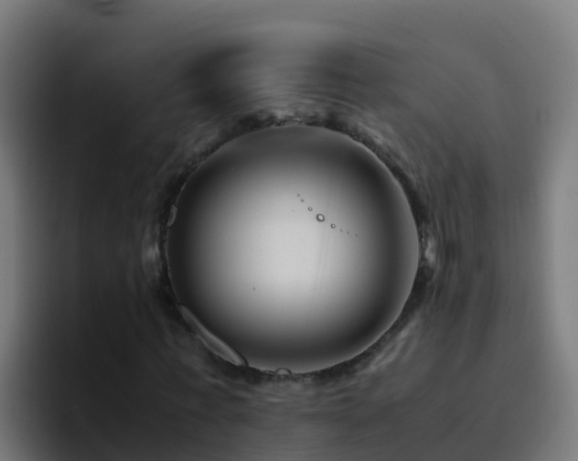 X0000094930771200712061128