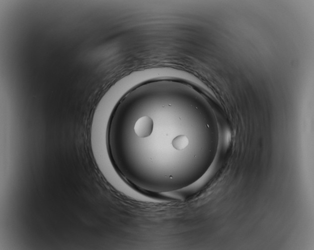 X0000094930772200712061128