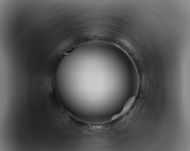 X0000094930774200712061128