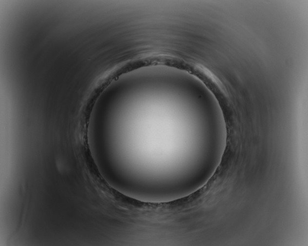 X0000094930775200712061128