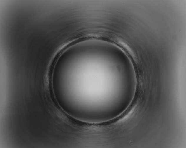 X0000094930779200712061128