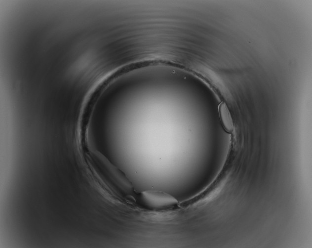 X0000094930780200712061128