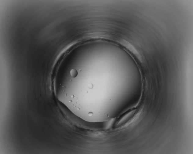 X0000094930782200712061128