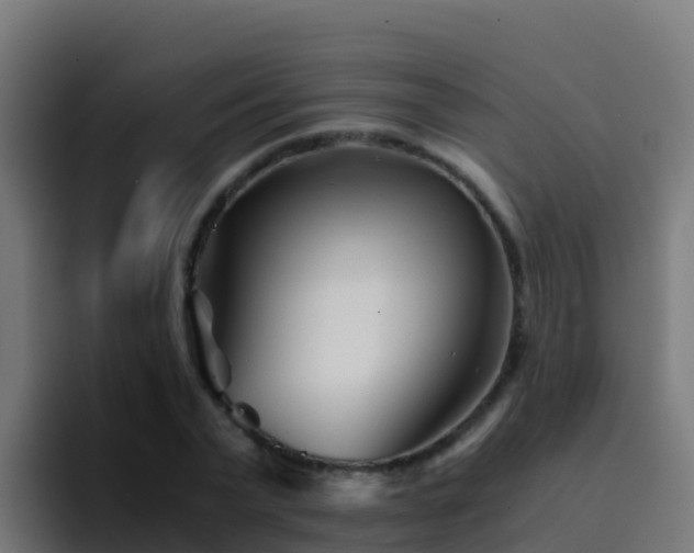 X0000094930783200712061128
