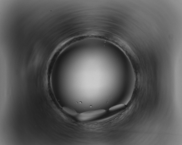 X0000094930784200712061128