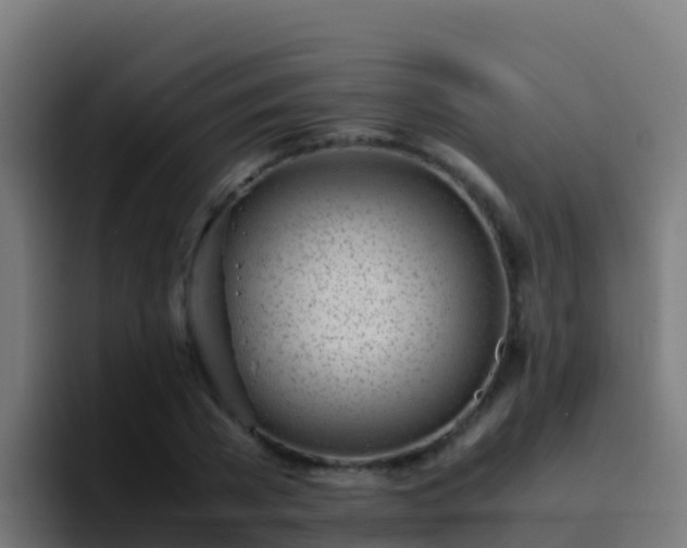 X0000094930785200712061128
