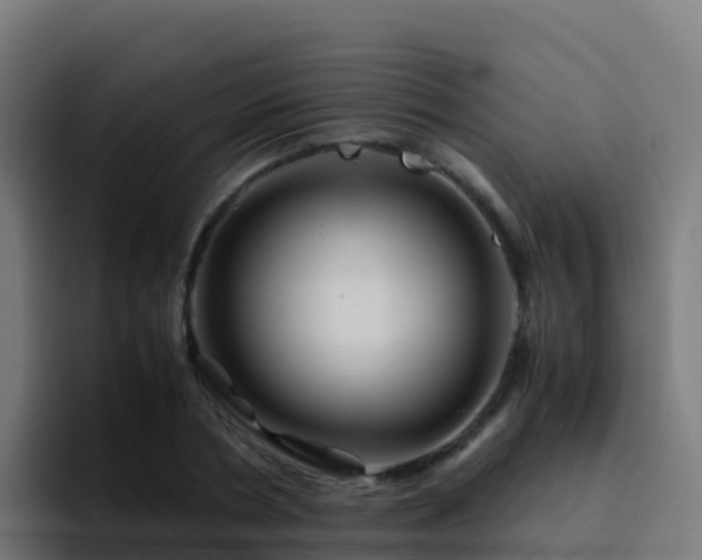 X0000094930786200712061128