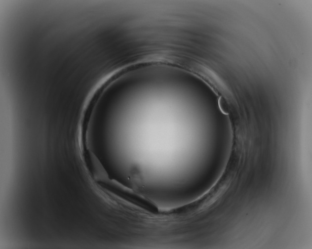 X0000094930788200712061128