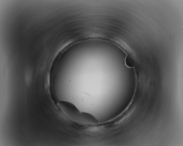X0000094930790200712061128