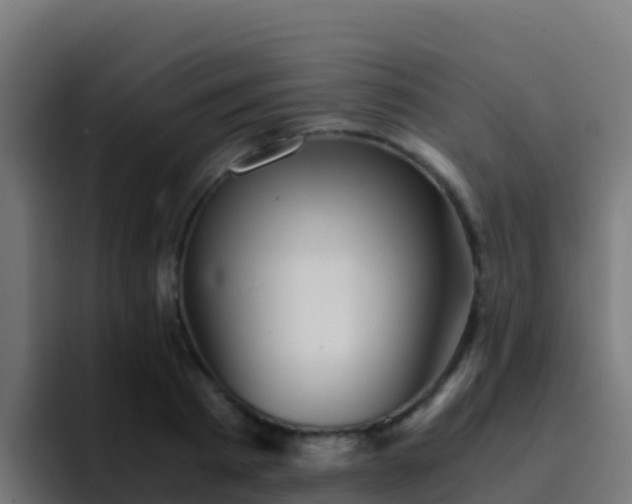 X0000094930793200712061128