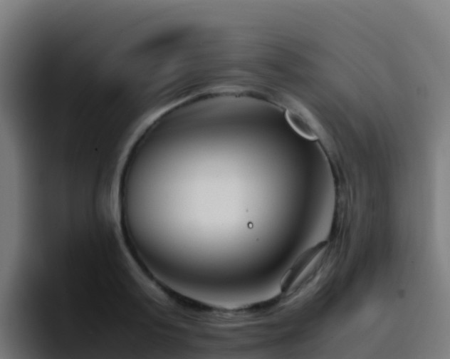 X0000094930795200712061128