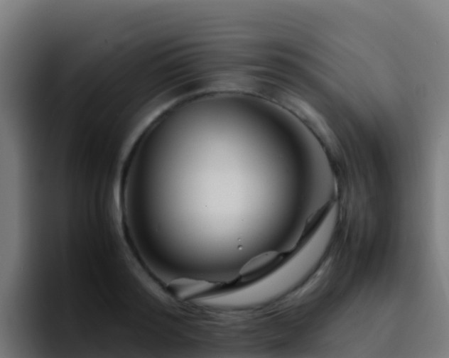 X0000094930796200712061128