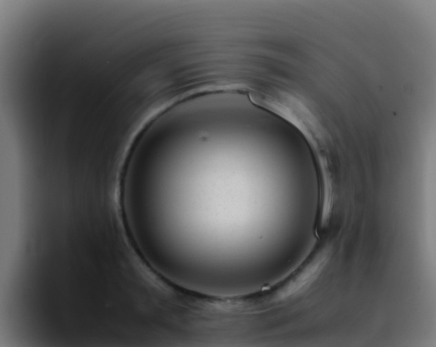 X0000094930797200712061128