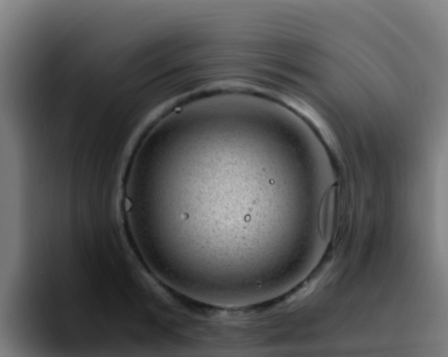 X0000094930799200712061128