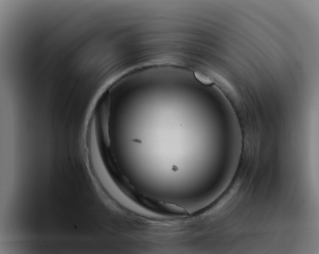 X0000094930800200712061128