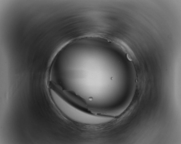 X0000094930804200712061128