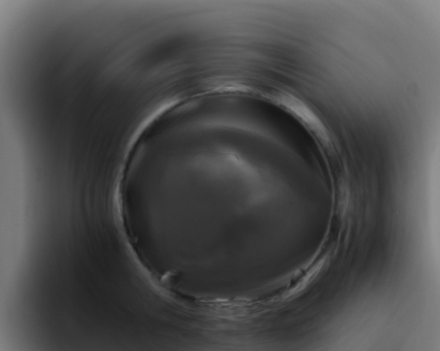 X0000094930806200712061128