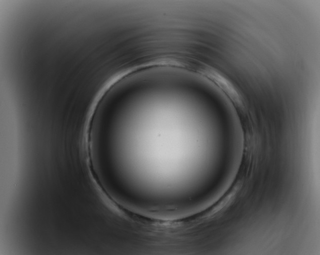 X0000094930808200712061128