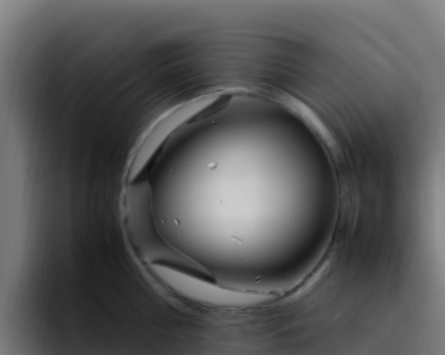 X0000094930810200712061128