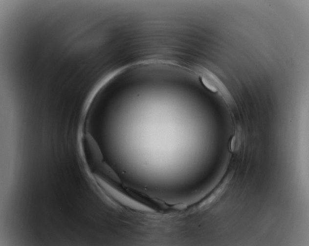 X0000094930812200712061128