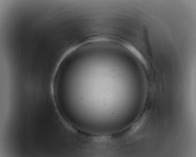 X0000094930813200712061128