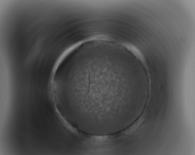 X0000094930816200712061128