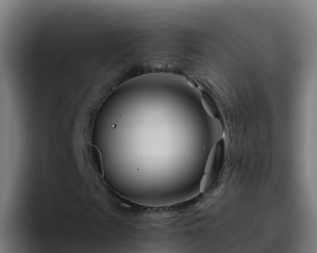 X0000094930817200712061127