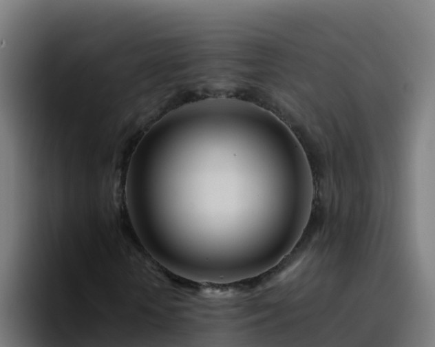 X0000094930818200712061127