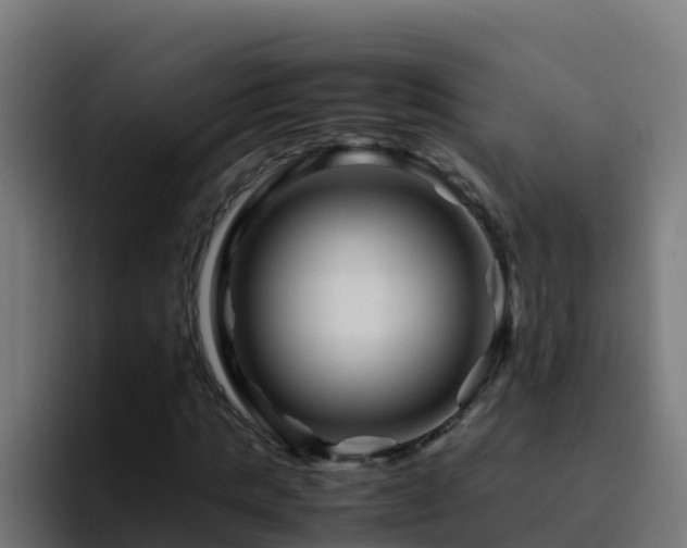 X0000094930821200712061127