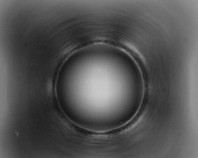 X0000094930825200712061127