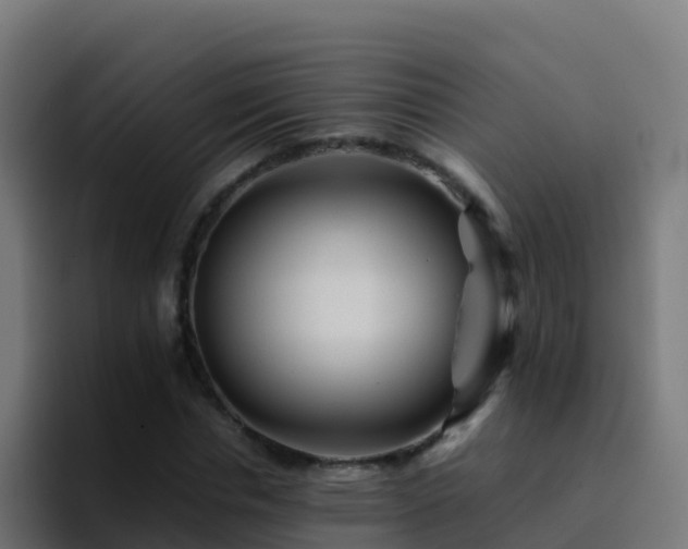 X0000094930826200712061127