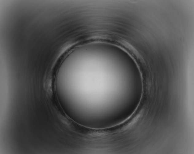 X0000094930830200712061127