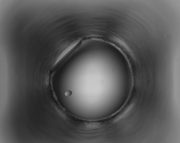 X0000094930833200712061127