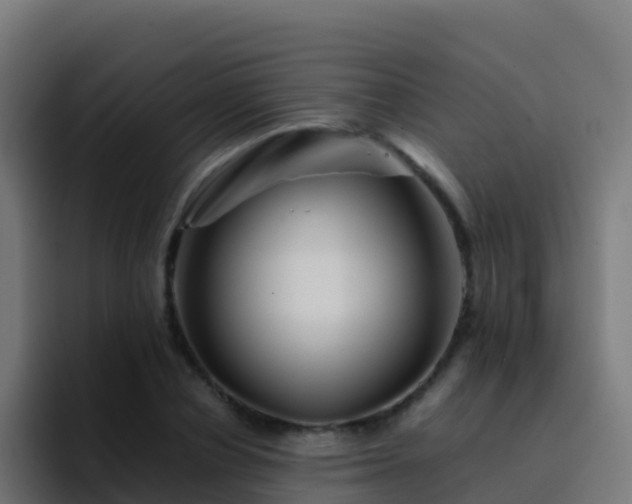 X0000094930834200712061127