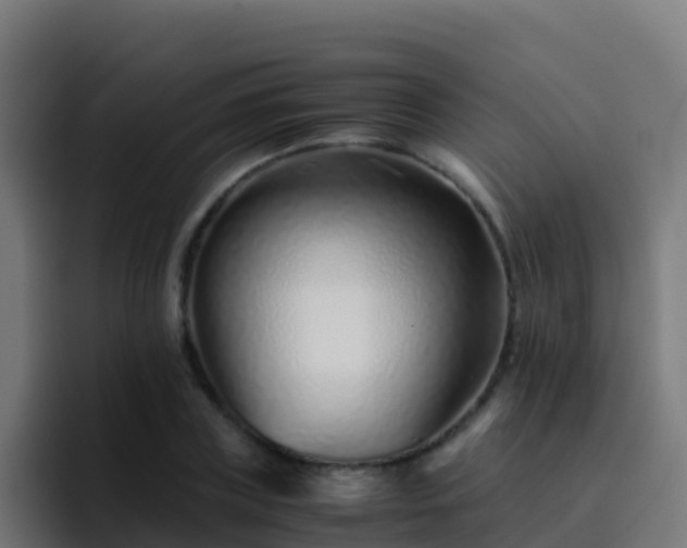 X0000094930835200712061127