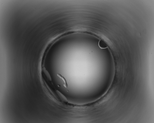 X0000094930840200712061127