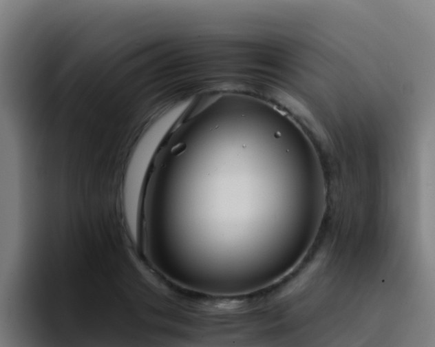 X0000094930841200712061127