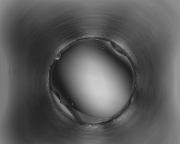 X0000094930842200712061127