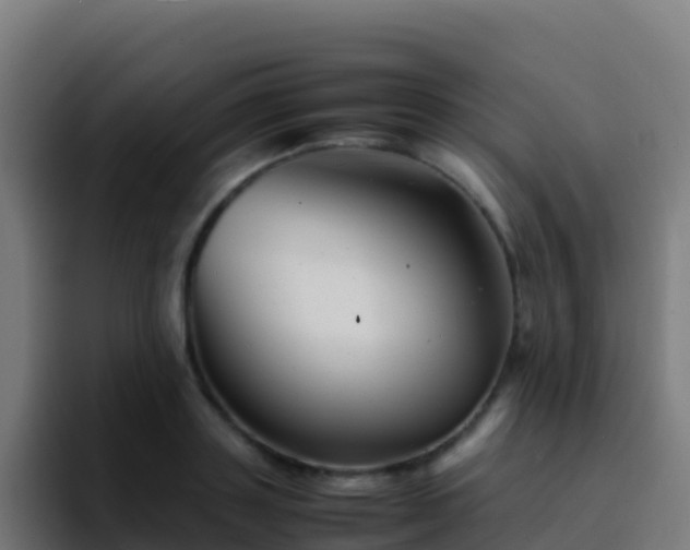 X0000094930843200712061127