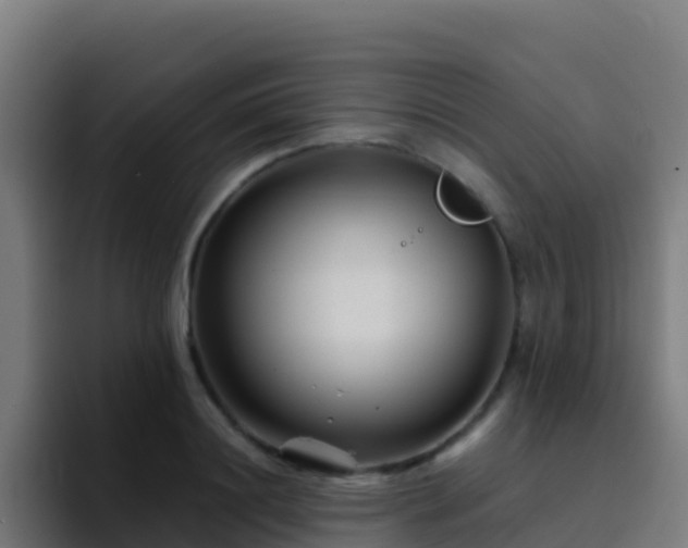X0000094930844200712061127