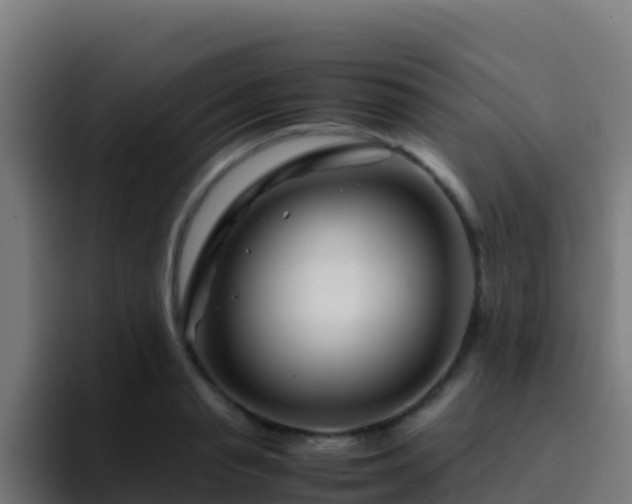 X0000094930845200712061127