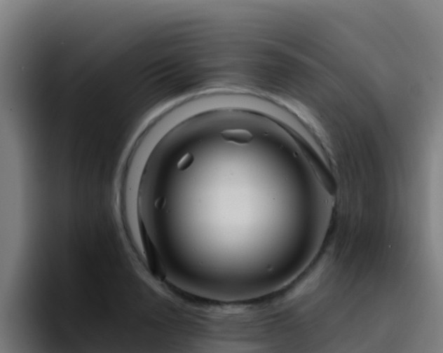 X0000094930846200712061127