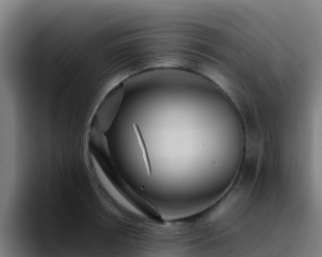 X0000094930850200712061127