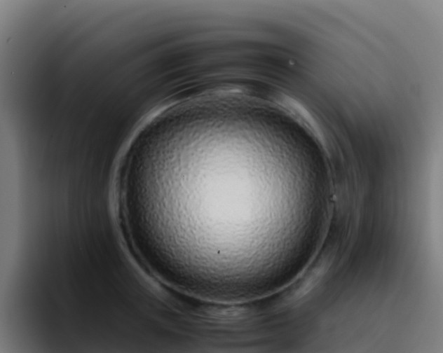 X0000094930851200712061127